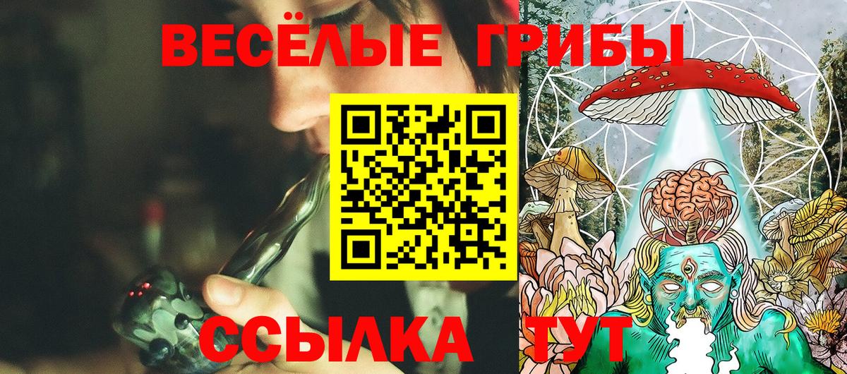 Псилоцибиновые грибы Cubensis  Галлюциногенные грибы Cubensis  Вход с VPN  Тайшет 