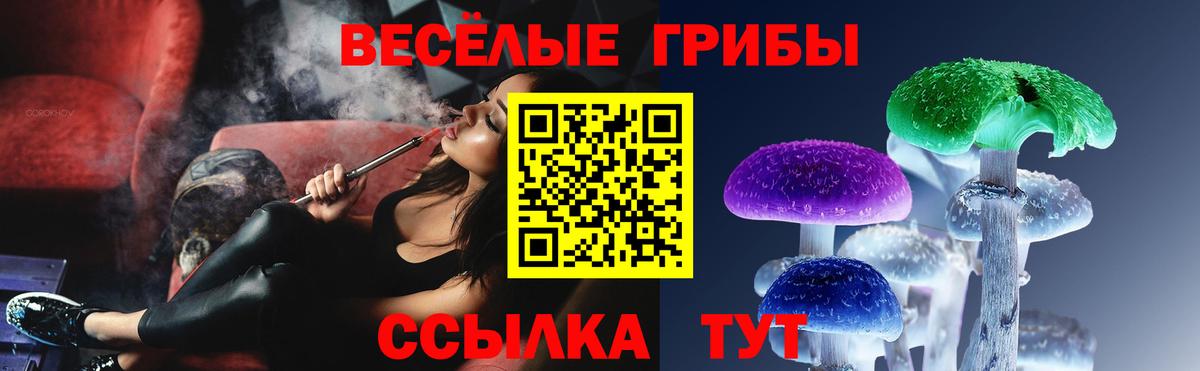 Псилоцибиновые грибы Cubensis Тайшет